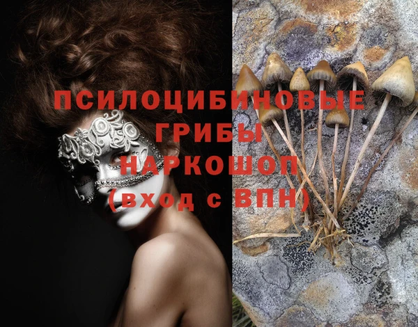 герыч Арсеньев