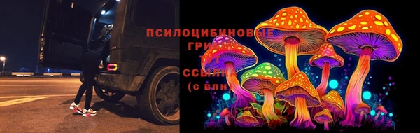 герыч Арсеньев