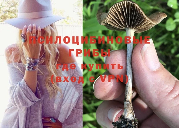 прущий лед Армянск