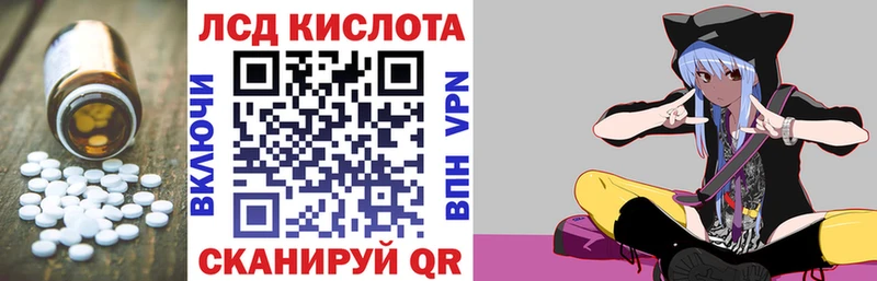 kraken вход  Кирс  LSD-25 экстази кислота 