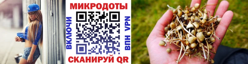 Галлюциногенные грибы ЛСД  Кирс 